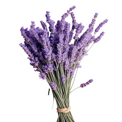 Close up of dried lavender bundle
