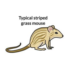 Mouse vector icon.Color vector icon isolated on white background mouse.