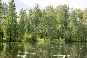 Fototapeta na wymiar East Finland lake view end of July