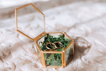 wedding rings lie in a beautiful glass box on green moss. Details of the verb during the morning meeting