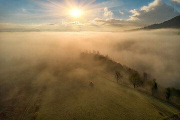 Naklejka na ściany i meble Mountains in clouds at sunrise in summer. Aerial view of mountain peak with green trees in fog. Top view from drone of mountain valley in low clouds