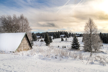 Winter at Filipova Hut, snowy cottages and trees, Sumava national park