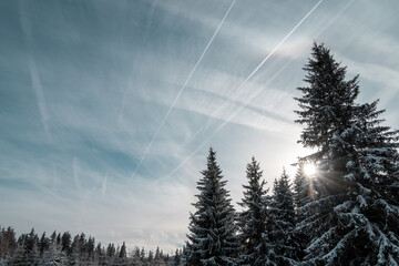 Winter sun hidden behind the trees and blue sky at Sumava national park