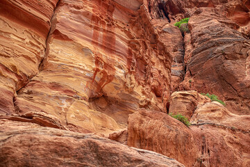 View of the canyon and the high, winding, mountain walls of the canyon. Petra, Jordan