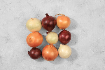 Various varieties of onions on a gray concrete background, the concept of harvesting in autumn, red, white and golden onions for breeding in agriculture, selective focus