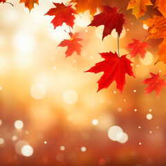 Naklejka na ściany i meble autumn leave against bokeh background 