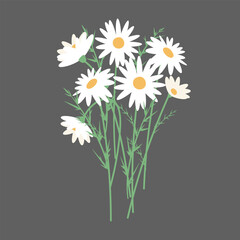 bouquet of daisies on a gray background, an element of decor