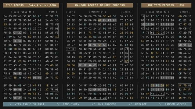 Computer memory code encryption technology for high security. Big Data Analysis process in low level programming to reverse engineering software, digital binary hexadecimal number display 3D rendering