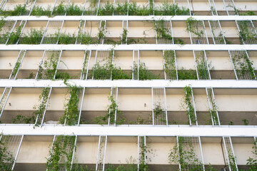 New environment friendly building with a lot of plants 