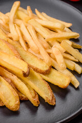 Delicious crispy french fries with salt and spices on a textured concrete background