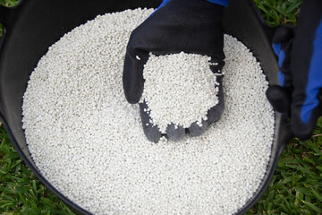 White chemical fertilizer in granulated format