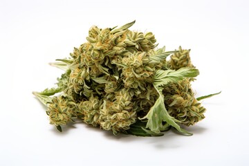 close up of marijuana bud on white background | Generative AI