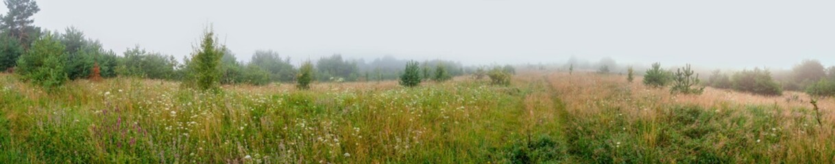 amazing panorama of summer rural landscape with fog and road. Field decorations of a panoramic blooming field. - obrazy, fototapety, plakaty