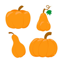 Pumpkin flat icon. Sign kit of halloween. Thanksgiving pictogram collection farm harvest, closeup squash, vegetable. Simple pumpkin cartoon colorful icon symbol isolated white Vector Illustration