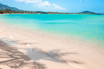 Obraz premium Tropical seascape. Sea with sandy shore and shadow from coconut tree.