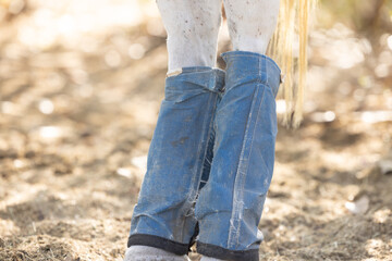 Horse Fly Boots
