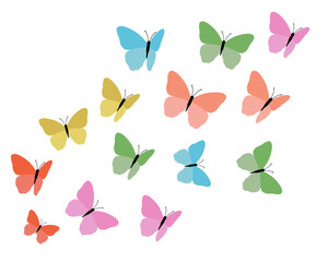 butterflies colorful colors