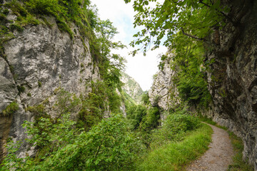 Fototapeta na wymiar Views of the Xanas Gorge in Asturias
