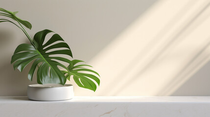 Blank Minimal White Counter Podium, Soft Beautiful Dappled Sunlight, Tropical Palm Foliage Leaf Shadow on Wall for Luxury Hygiene Organic Cosmetic, Skincare, Beauty Treatment Product Background 3D