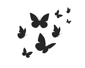 set of butterflies