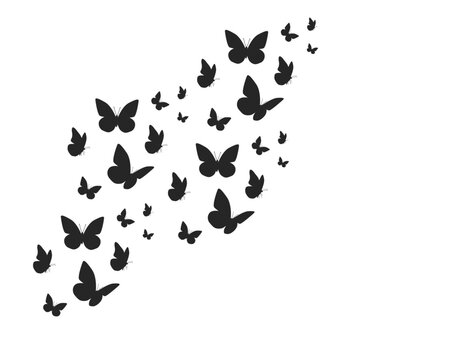 Butterflies On White Background