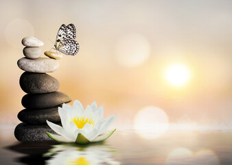 Peace and harmony. Stacked stones, lotus flower in water and beautiful butterfly, space for text