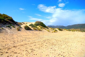 Dunes of Valdevaqueros, sand dunes on the beach at the Atlantic Ocean with the mountains of Andalusia behind, Costa de la Luz, province of Cádiz, Spain, Travel, Tourism