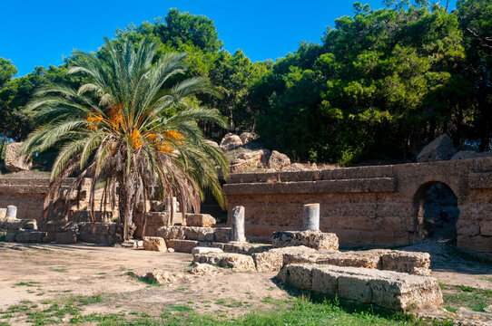 Ruinas de Cartago - Tunez