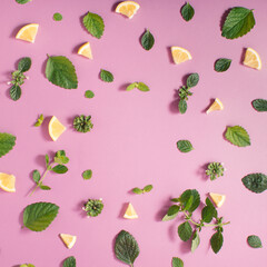 Colorful pattern made of pieces of lemon fruits and lemongrass leaves. Flat lay