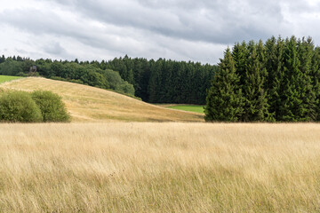 Landschaft bei Nettersheim im Nationalpark Eifel 