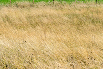 Landschaft bei Nettersheim im Nationalpark Eifel 