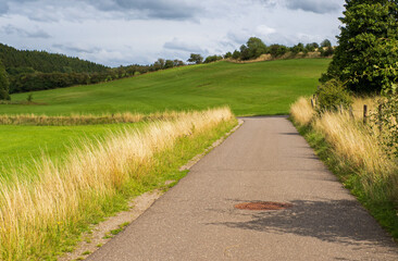 Landschaft bei Nettersheim im Nationalpark Eifel 