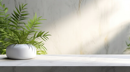 Modern Minimal Empty White Marble Stone Counter Table