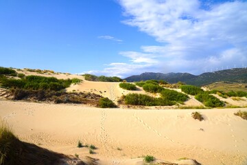 Dunes of Valdevaqueros, sand dunes on the beach at the Atlantic Ocean with the mountains of Andalusia behind, Costa de la Luz, province of Cádiz, Spain, Travel, Tourism