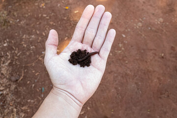 hand with dirt and earthworm