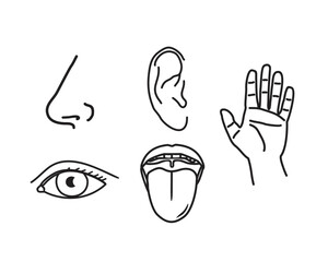 vector set of basic human sensory senses