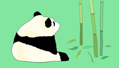 cute  giant panda looking bamboo