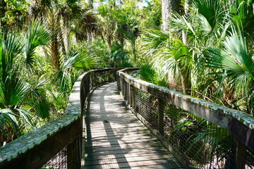 Hillsborough river state park at Tampa, Florida	