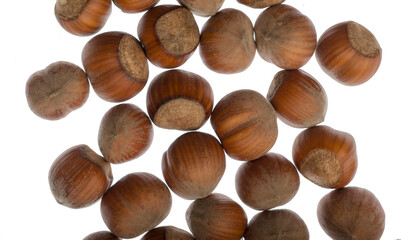 hazelnuts isolated on white background