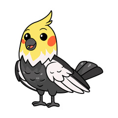 Cute gray cockatiel bird cartoon