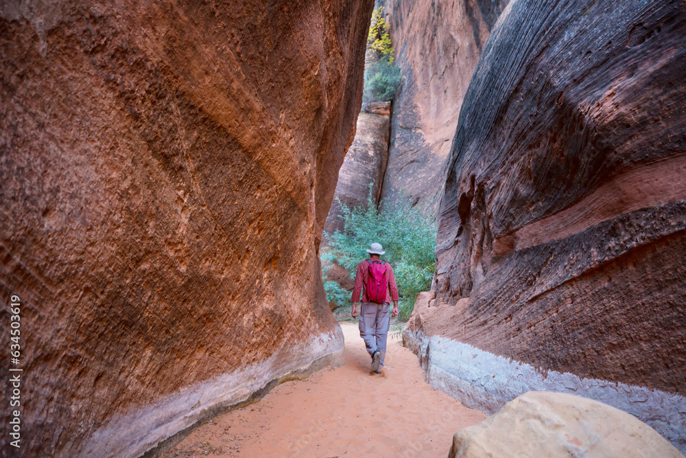 Wall mural Slot canyon