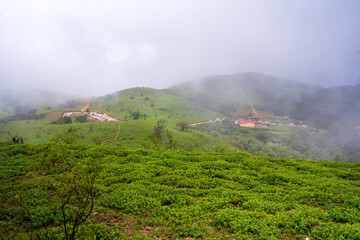 The Place where gods live, so called Devaramane - Devara (The god) , mane (home).