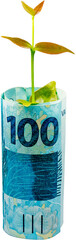 Rolled banknote of one hundred reais from Brazil with plant inside on transparent background.