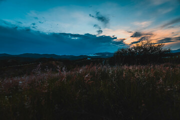 hermosa visa con matorrales, Oaxaca with sunset in mountains. la noche se acerca entre las nubes y las montañas.