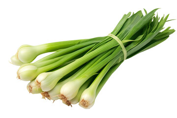 Close-up Bunch of fresh Leeks isolated on transparent or white background PNG