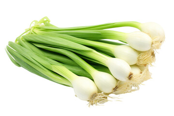 Close-up Bunch of fresh Leeks isolated on transparent or white background PNG