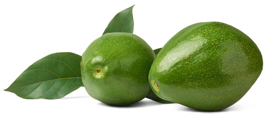 dark green skin avocados with leaves, persea americana, aka alligator pear or butter fruit,...