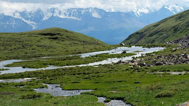 Video of Altai river Yarlyamry. The stream is surrounded by alpine forb meadows. On background is North-Chuysky mountain range.