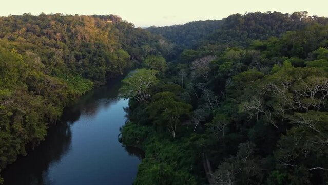 Aerial over the Macal River and the lush tropical jungle in San Ignacio, Belize. Drone dolly forward shot
