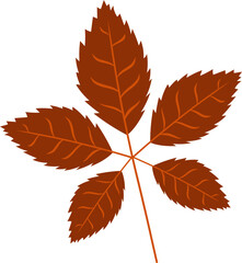 Maroon Autumn Leaf Element
